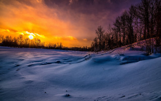 Sunset snowy field trees dark - a dark sky free wallpaper for desktop