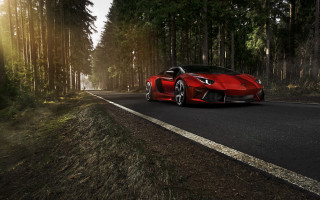 Red sports car woods sunny - the background and sun free wallpaper