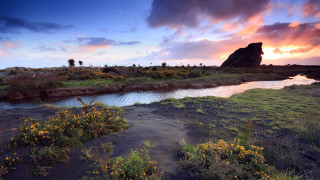 River lushfield cloudysky sunset rocks - a lush green field under a cloudy sky free wallpaper