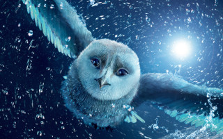 Bird wings waterdroplets brightlight photorealism - weta digital free wallpaper