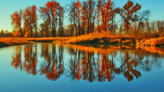 River trees grass blue sky - tree and grass free wallpaper