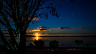 Silhouetted tree night sky lake - moonlight free wallpaper