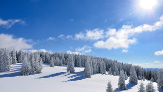 Snow mountain trees sun clouds - bright free wallpaper