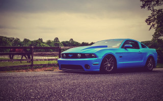 Blue mustang horse fence 3d - cobra free wallpaper