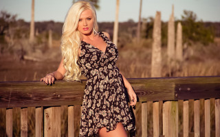 Woman dress fence blonde posing - elaine duillo free wallpaper