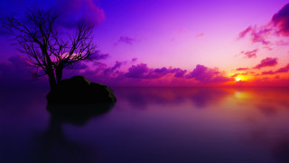 Purple sunset tree water mountain - a purple sky behind free wallpaper