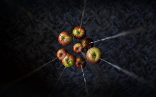 Apples table dark stick macro - top of a table next free wallpaper