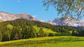 Grassy field mountains trees houses - a mountain in the background and trees free wallpaper