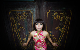 Pink dress bamboo door portrait - a door free wallpaper