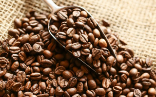 Coffee beans burlap spoon neoplasticism - a spoon free wallpaper