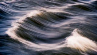 Blurry wave bird ocean horizon - a blurry photo free wallpaper