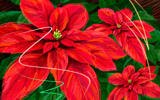 Red flower green leaves swirling - a red flower free wallpaper