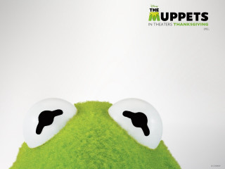 Green frog big eyes white - the middle free wallpaper