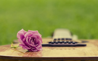 Blue rose wooden table guitar - a remote control free wallpaper