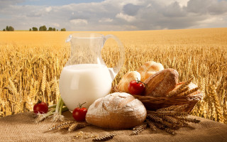 Milk glass bread tomatoes fruits - dahlov ipcar free wallpaper