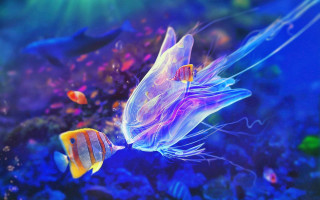 Fish jellyfish aquarium blue water - free neon wallpaper for desktop