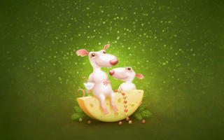 Mice cheese green surface water - top of a piece free wallpaper