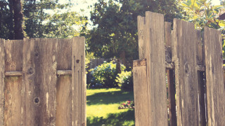 Wooden gate bird tree city - liminal space free wallpaper