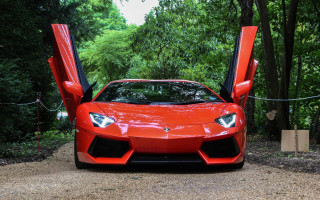 Red sports car open doors 4 - open door free wallpaper