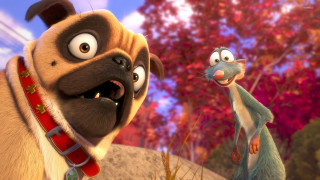 Cartoon dog ratty rattyback big - bad free wallpaper