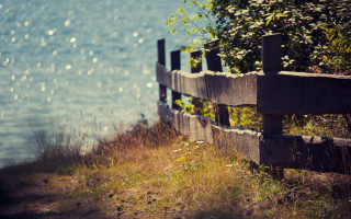 Wooden fence river tree cityscape - deep free wallpaper