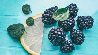 Lemon blackberries blue surface leaves - a blue surface free wallpaper