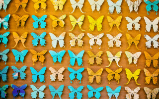 Colorful butterflies ecological art jigsaw - macro art free wallpaper
