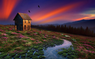 House stream birds sunset magic - a stream free wallpaper