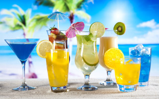 Beach glasses palm tree summer - a palm tree in the background free wallpaper