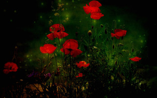 Red flowers green background fairy - chris friel free wallpaper