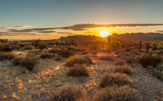 Desert sunset mountains bushes horizon - the foreground and mountains free wallpaper
