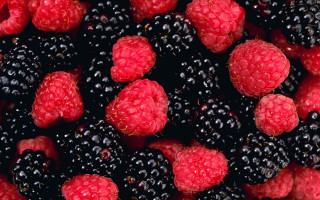 Raspberries blackberries closeup macro berries - berry free wallpaper