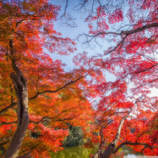 Park bench autumn leaves blue - free autumn wallpaper for tablet