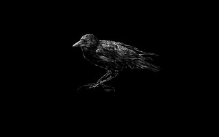Black bird dirk crabeth monochrome - dark art free wallpaper
