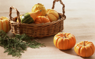 Pumpkins gourds harvest fall folk - fall vibrancy free wallpaper