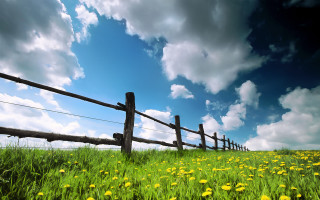 Flower field fence sky clouds - derold page free wallpaper