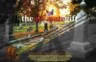 Cemetery wooden barrel butterfly flying - ultimate free wallpaper