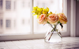 Vase yellow pink flowers window - a window sill next free wallpaper