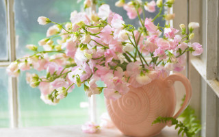 Pink vase pink white flowers - a window sill next free wallpaper