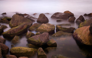 Rocky beach fog birds mountains - a rocky beach free wallpaper