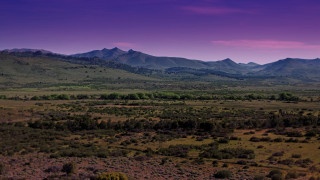 Mountain forest panoramic purple sky - a purple sky in the background free wallpaper for desktop