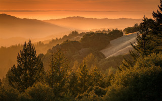 Mountain range fog sunset trees - a view of a mountain range free wallpaper