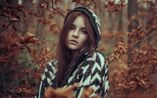 Woman sweater forest autumn butterfly - anka zhuravleva free wallpaper for desktop