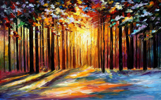 Sunlit forest trees leaves nature - erin hanson free wallpaper