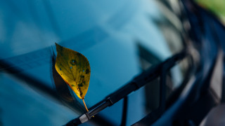 Leaf reflection minimalism stilllife underwater - canon 5 0 mm free wallpaper for desktop