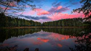 Pink sky lake dock trees - a dock in the foreground free wallpaper
