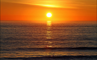 Sunset ocean boat bird matte - a sunset over the ocean free wallpaper