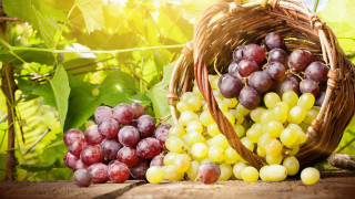 Grapes basket bunch vineyard green - a bunch of grapes free wallpaper
