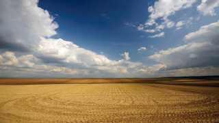 Field dirtroad clouds blue sky - a large field free wallpaper for desktop