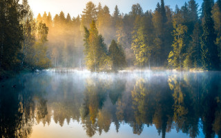 Lake foggy forest reflection autumn - over the water free wallpaper